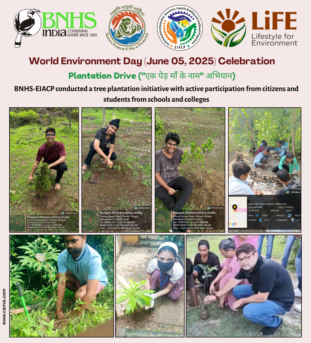 Tree Plantation Drive Collage